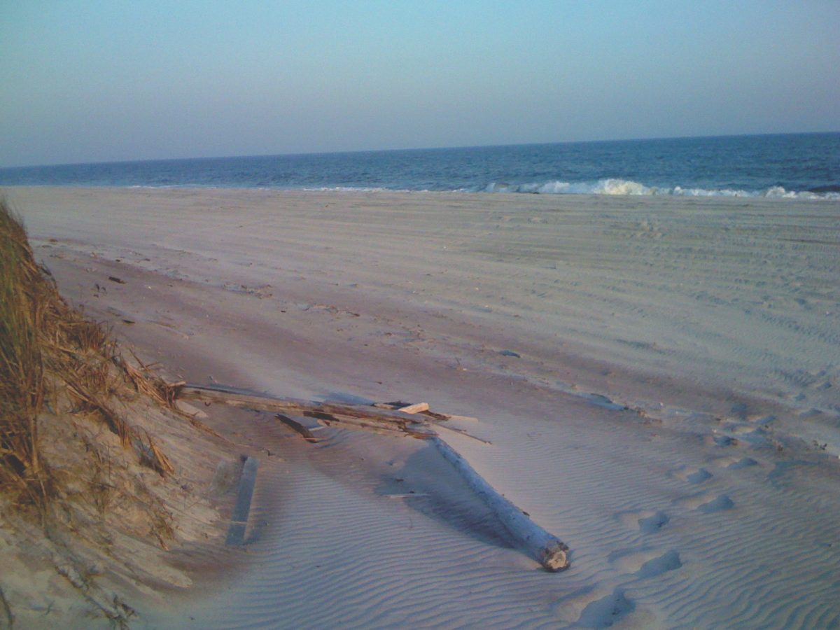 beach path ending ocean beach